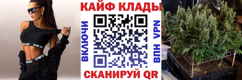 Где купить наркоту Александровское ГАШ  Alpha PVP  МЕФ  Cocaine 