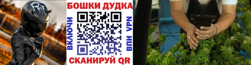 где найти   Александровское  Бошки Шишки план 